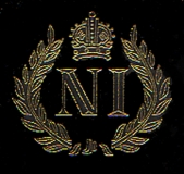 Nijart logo
